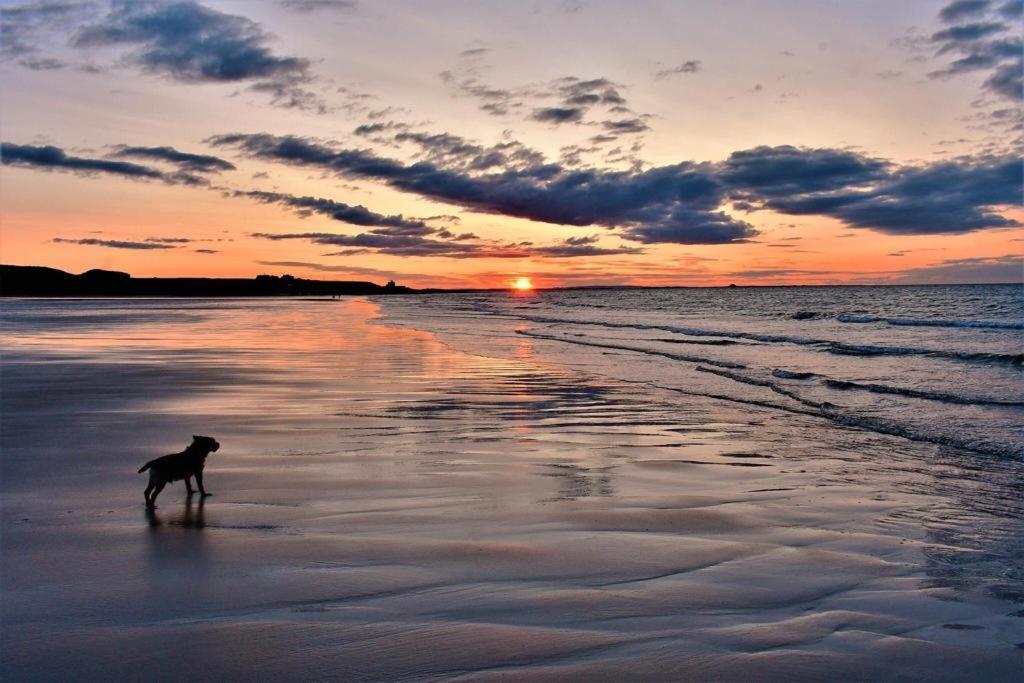 Westlea Guest House Alnmouth Eksteriør bilde